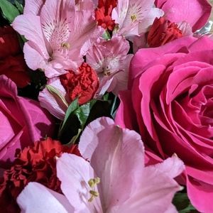 Meet your Posher, Taylor